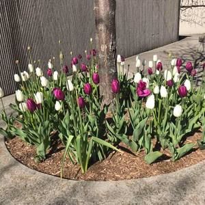 Meet your Posher, Esther